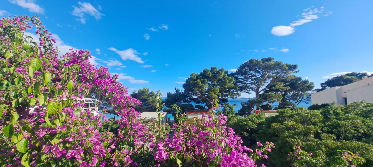 Aurora Beachfront Luxury Rooms&Suites 布雷拉 外观 照片