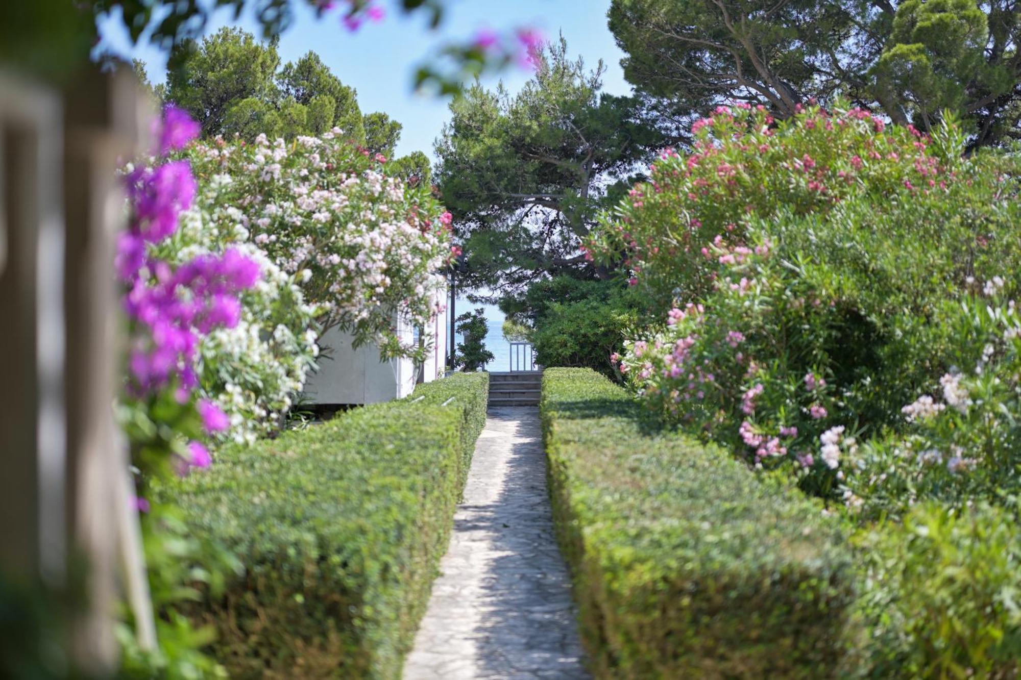 Aurora Beachfront Luxury Rooms&Suites 布雷拉 外观 照片