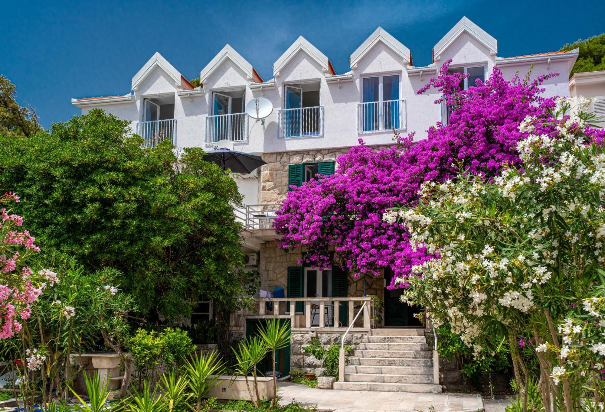 Aurora Beachfront Luxury Rooms&Suites 布雷拉 外观 照片